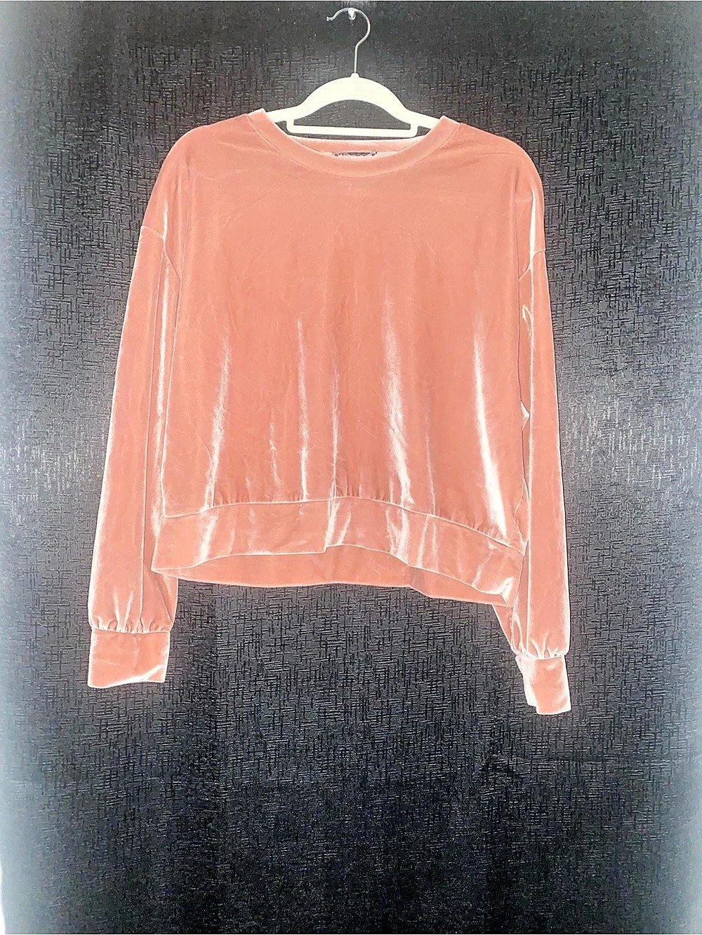 Zara - Blush Pink Velvet Long Sleeve Top size large